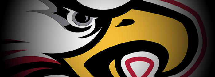 Ironwood Football logo