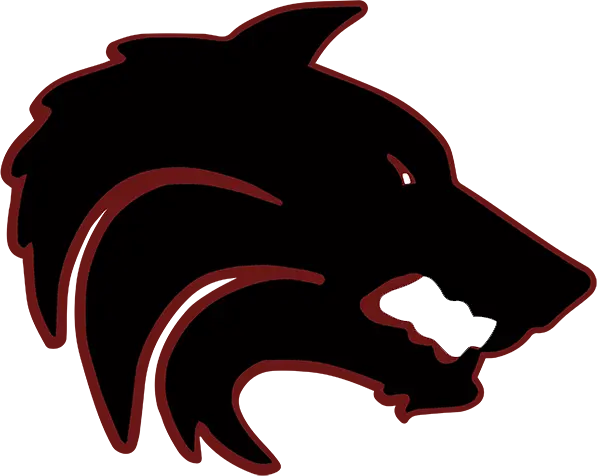 Desert Mountain Wolves Football