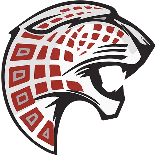 Desert View Jaguars Football