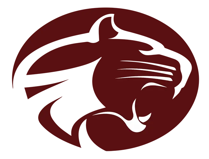 Mountain Ridge Football