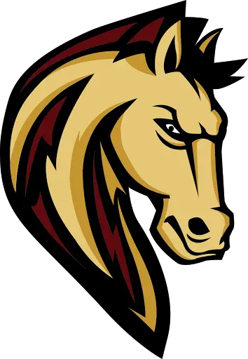 Shadow Ridge Mustangs Football